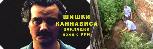 метадон Белокуриха