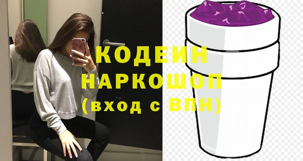 2c-b Инсар