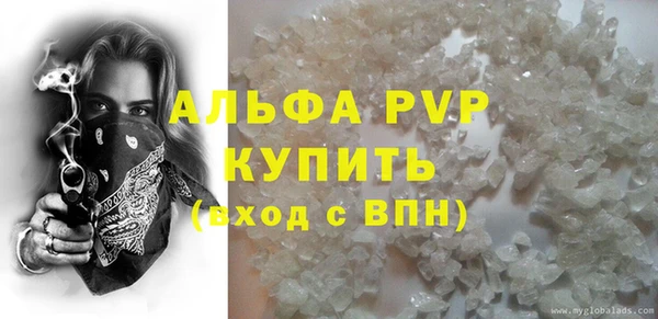 спиды Иннополис