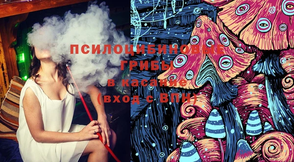 метадон Белокуриха